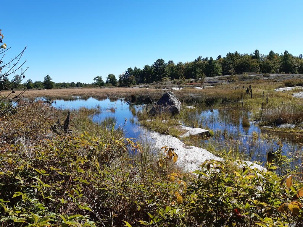 Beaver Hills Dark Sky Preserve