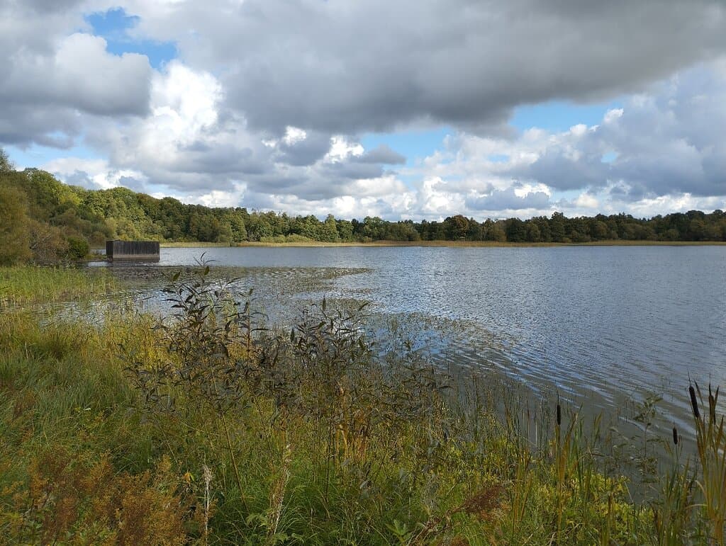 Bergkvara Castle Ruins