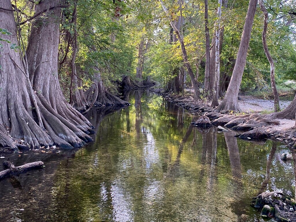 Cibolo Creek
