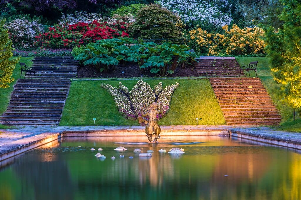 The mirror pond