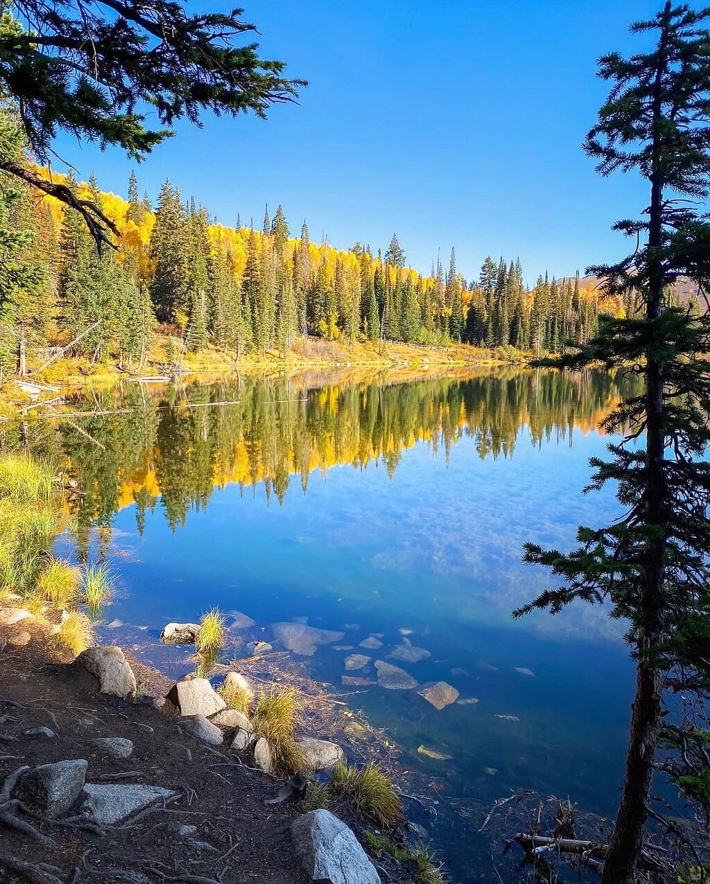 Autumn color and a bit of frost