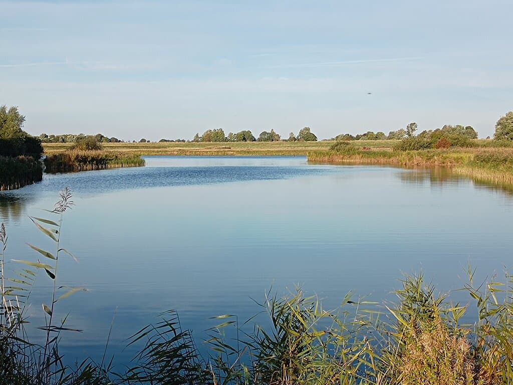 Katinger Watt Nature Reserve