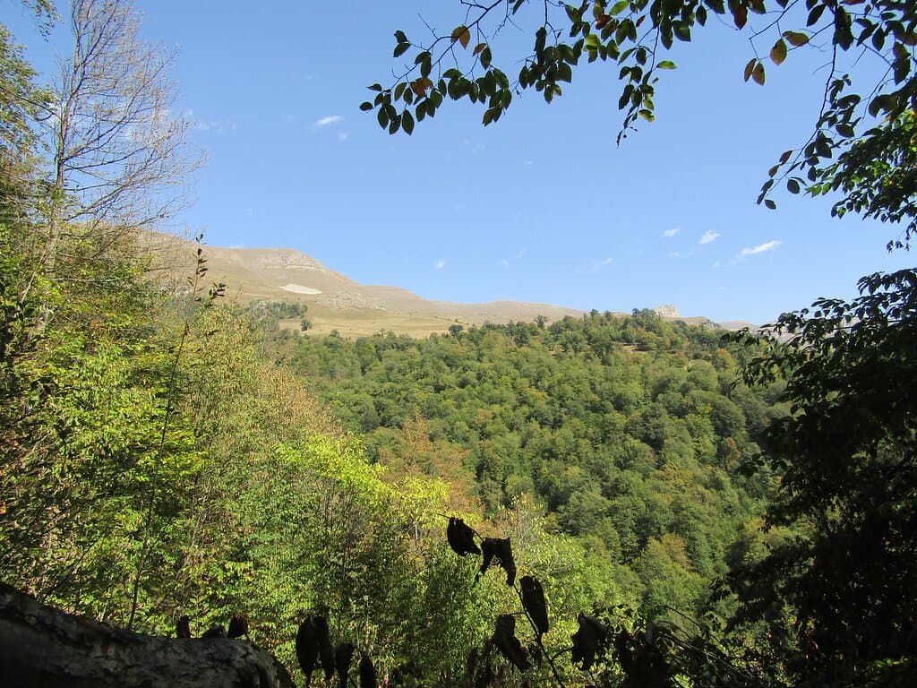 views in and around the walk