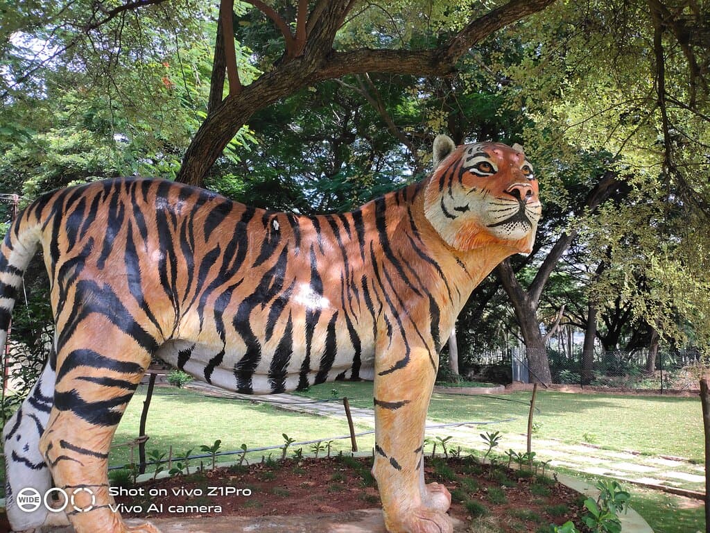 Amaravathi Dam and Crocodile Park