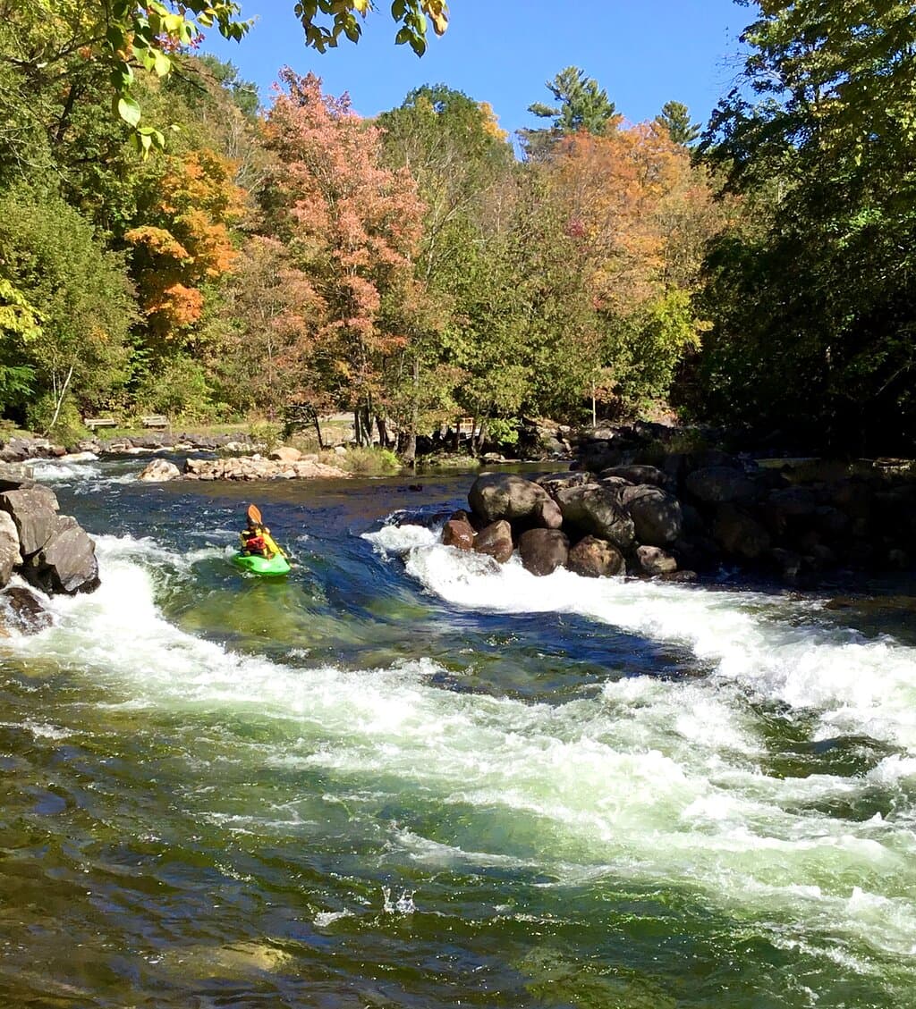 Kayak