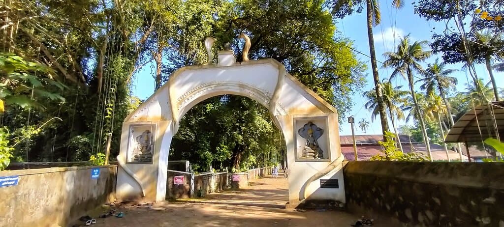 Pambummekkattu Mana Mala