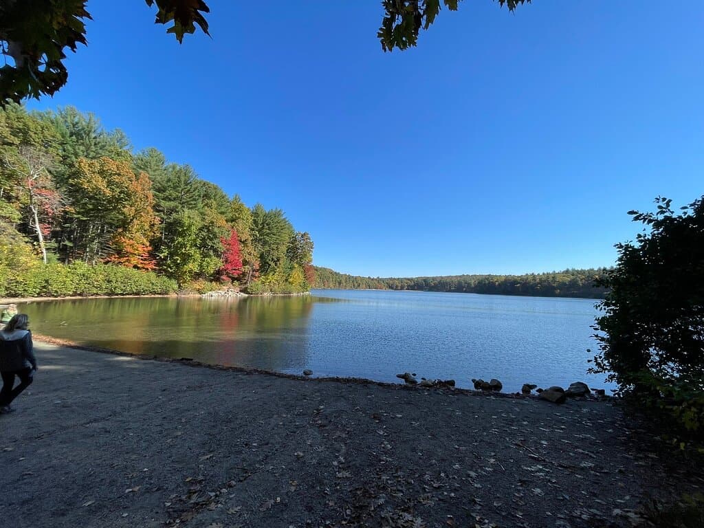Thoreau House Site Walden