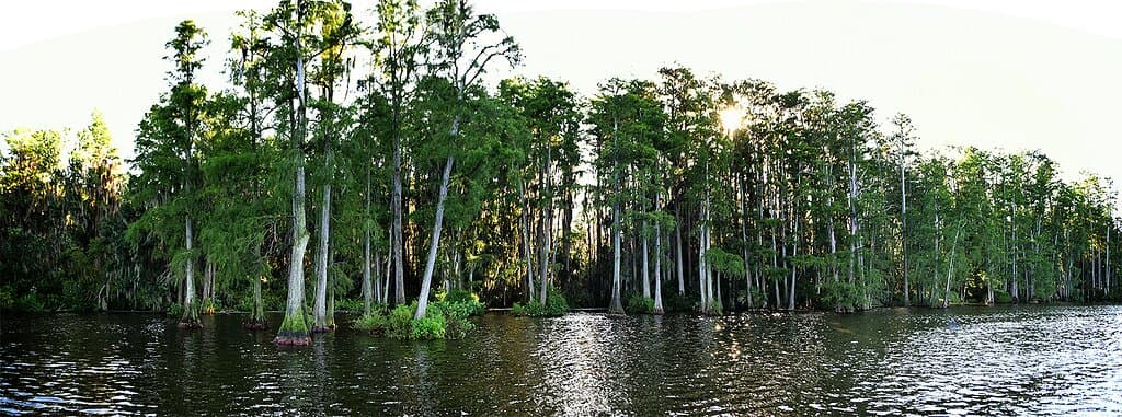 Lake front view