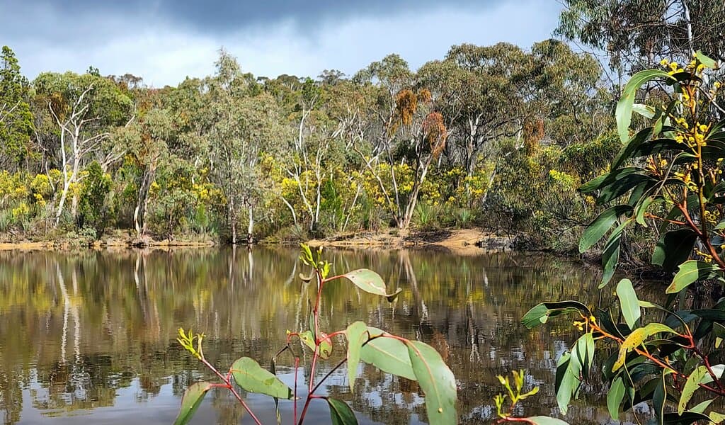 Para Wirra Conservation Park