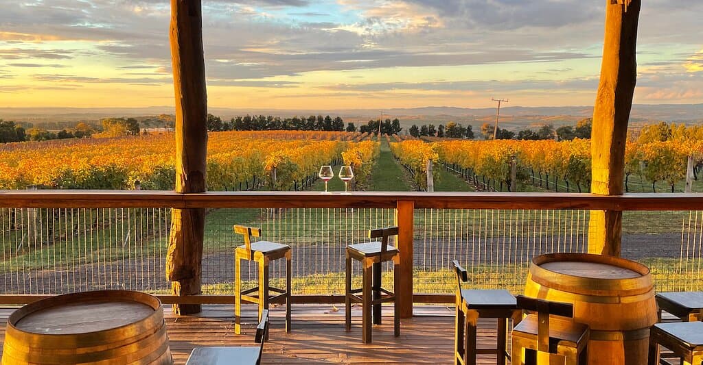 cellar door deck, 