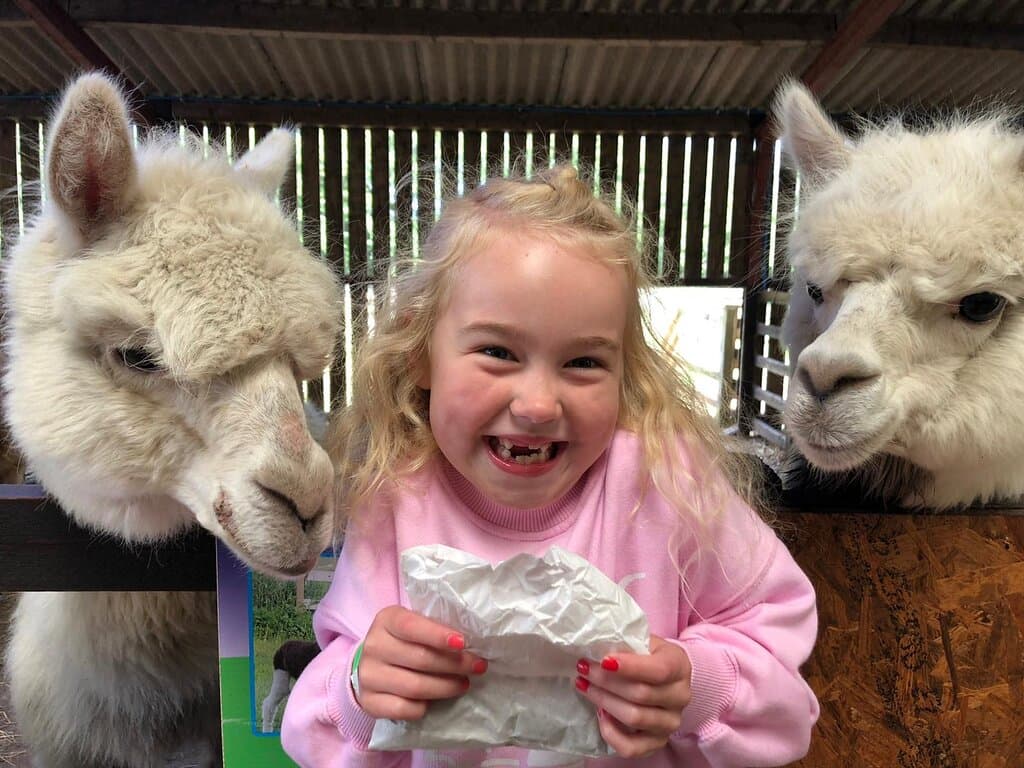 Meet and feed many of our friendly animals 