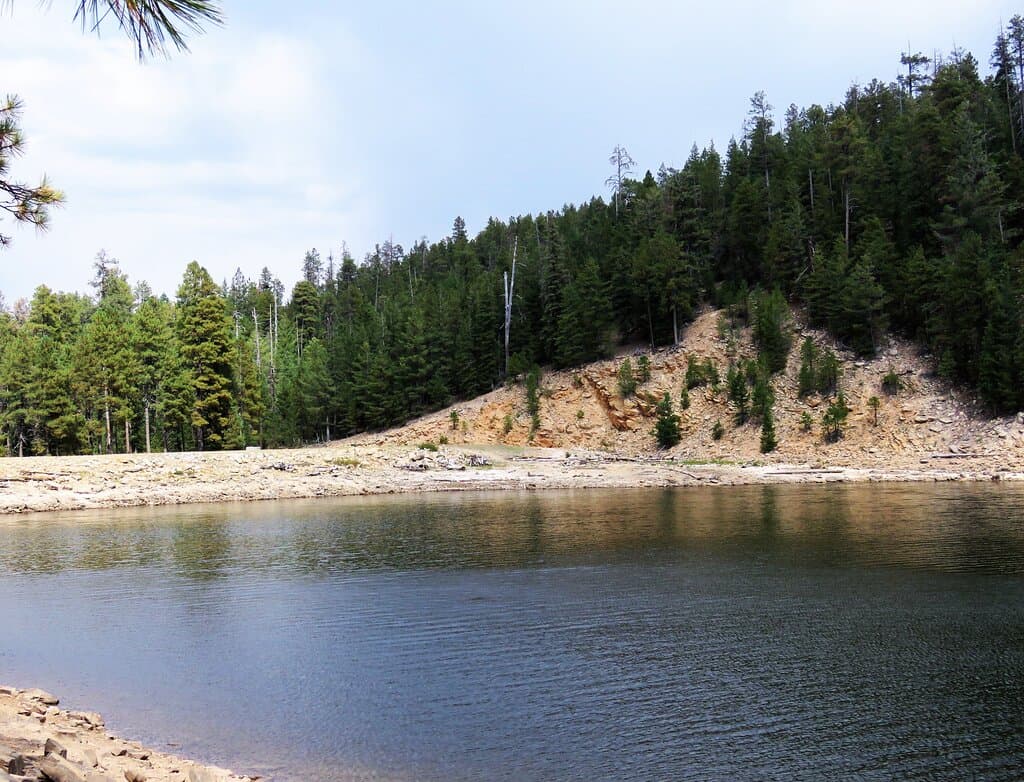 The lake side of the dirt berm