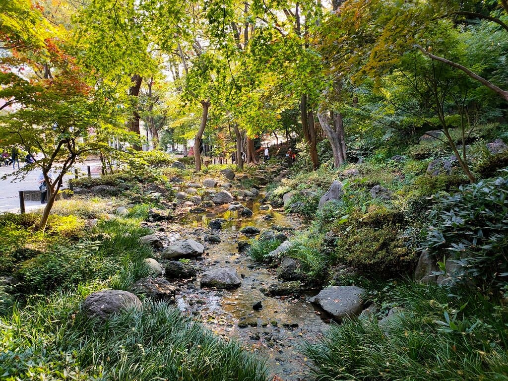 Momijidani Shima (Maple Valley)