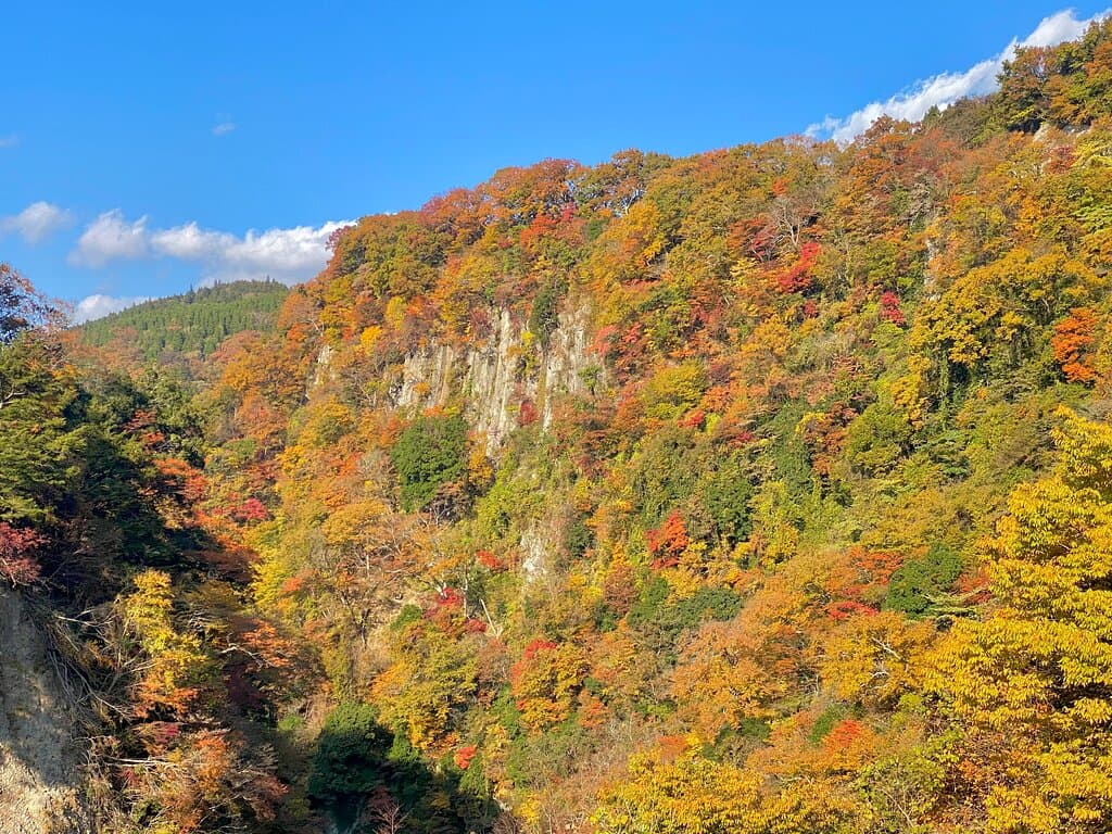 桂茶屋駐車場から白壁と紅葉のコントラストが美しい