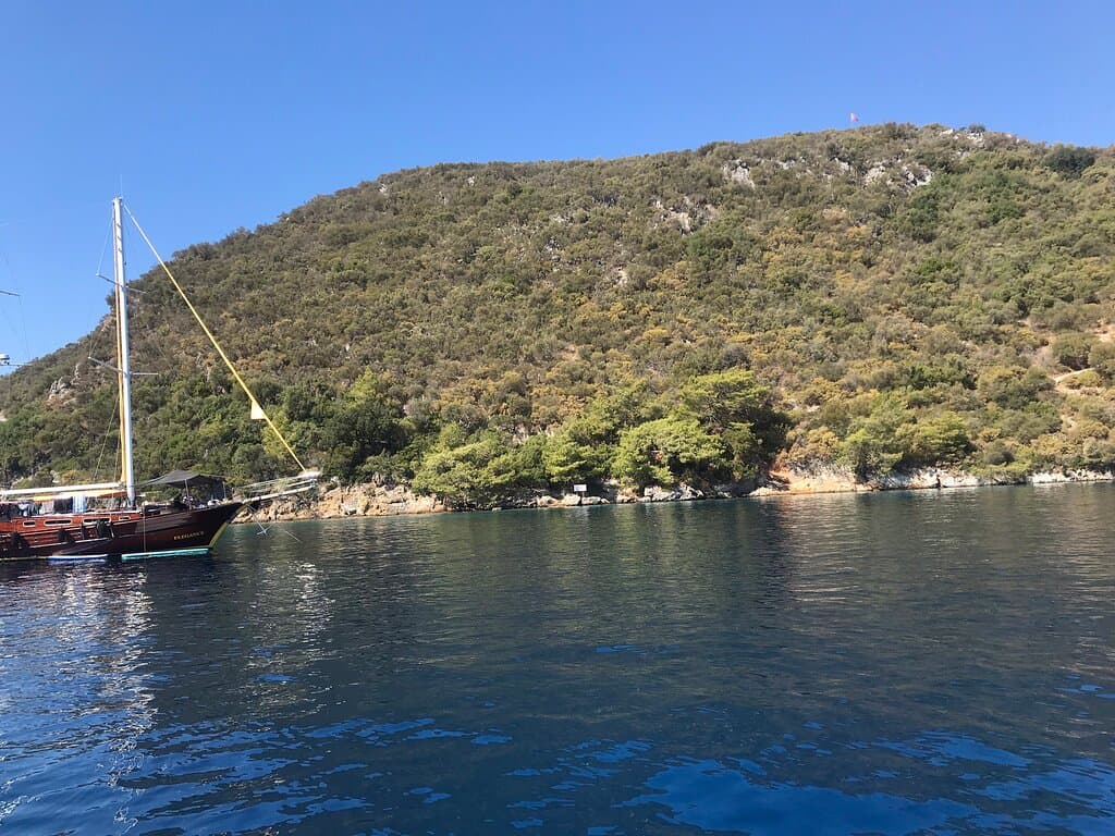 Domuz Island