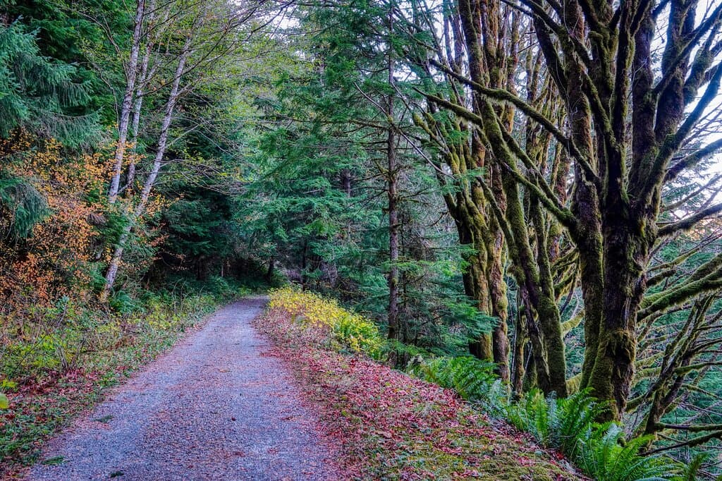 Still some fall views on the iron horse trail