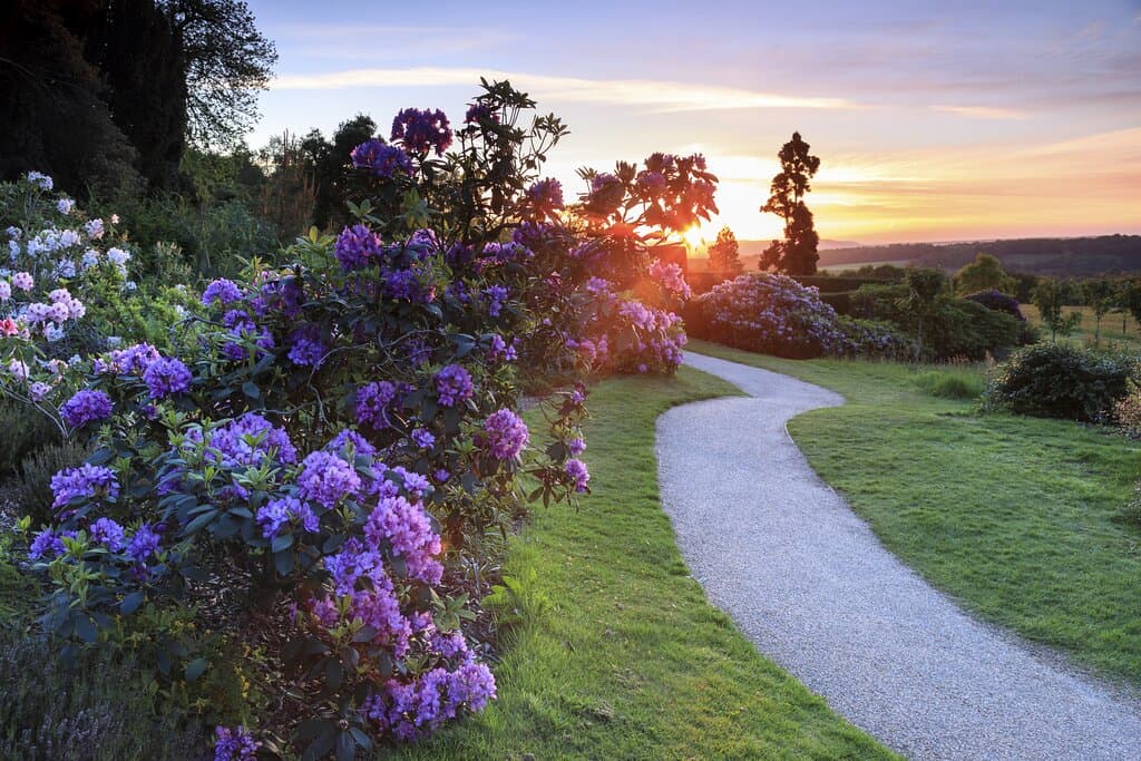 Sunset over the north garden at Emmetts Garden, Kent 

©National Trust Images/John Miller