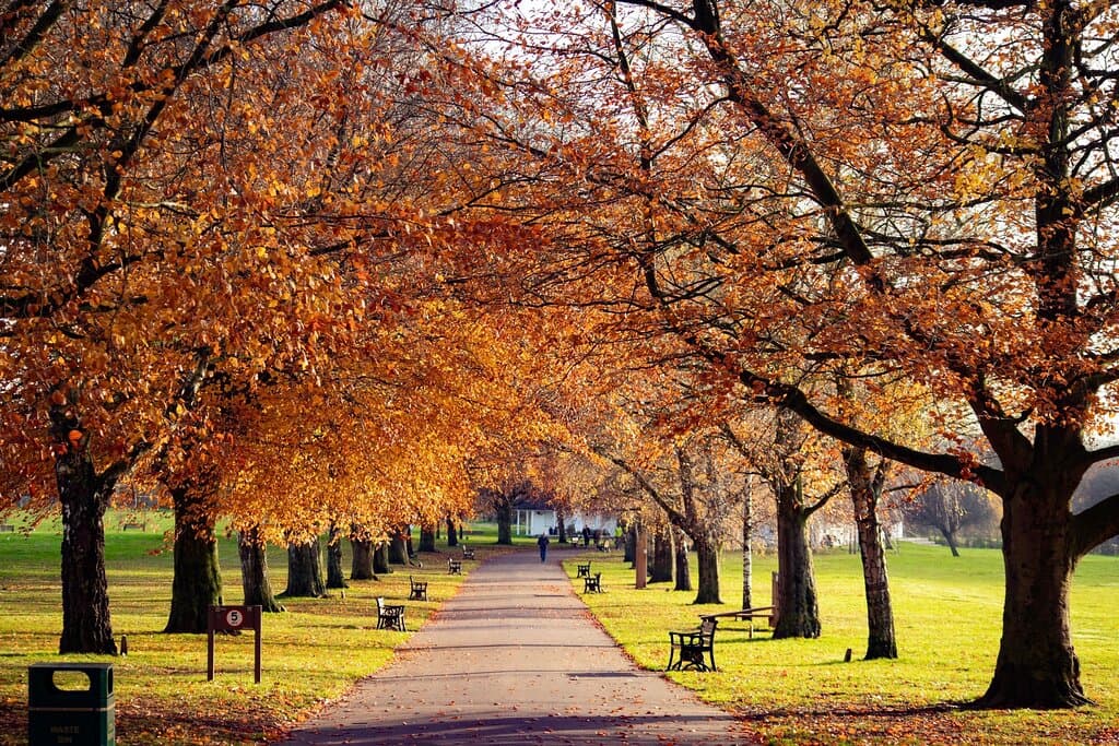 War Memorial Park