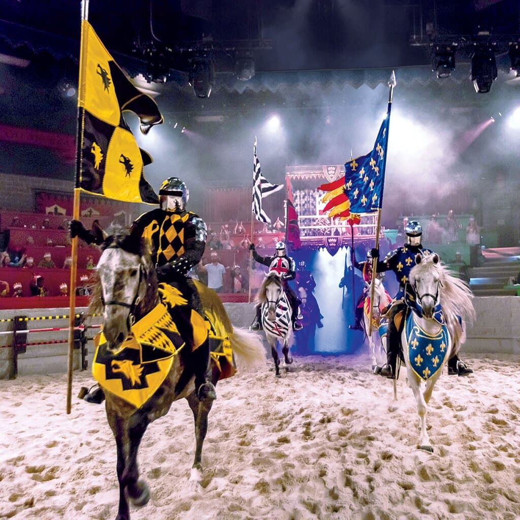 Cheer your knight to victory as he competes in a tournament of jousting, sword fighting, and medieval games of skill.