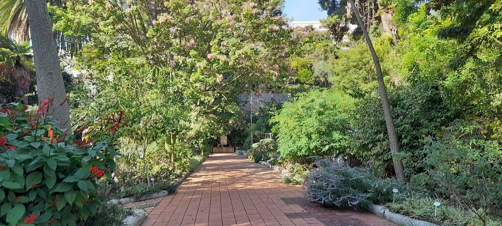 Orto Botanico Pietro Castelli Messina