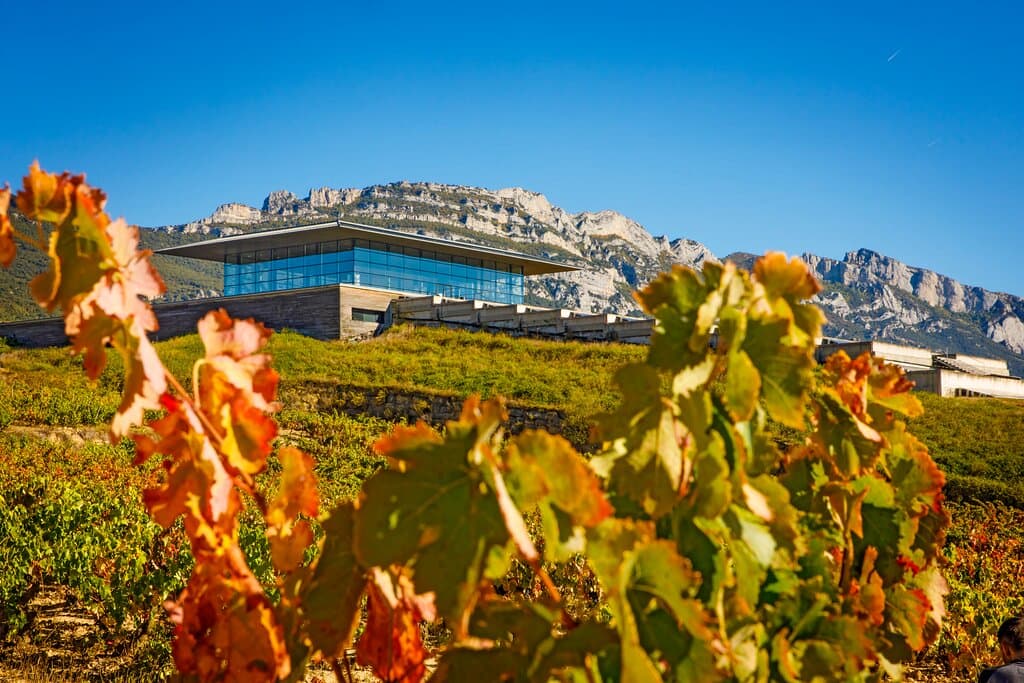 Bodegas BAIGORRI 