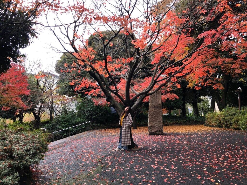 Kurakuen Momijiyama Park