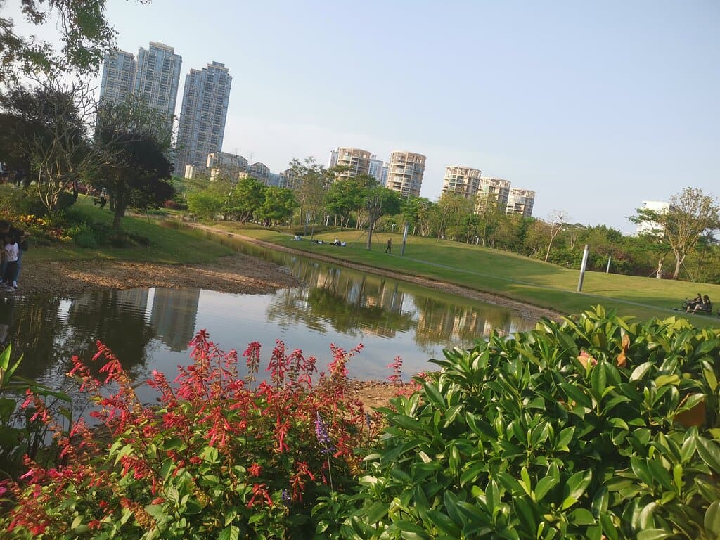 Shenzhen Central Park