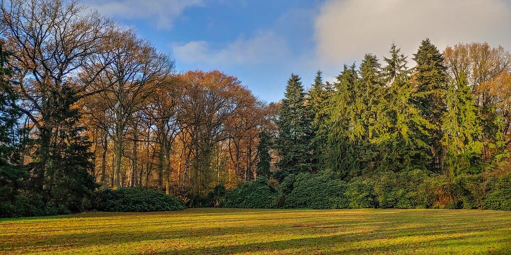 Philips De Jongh Park 