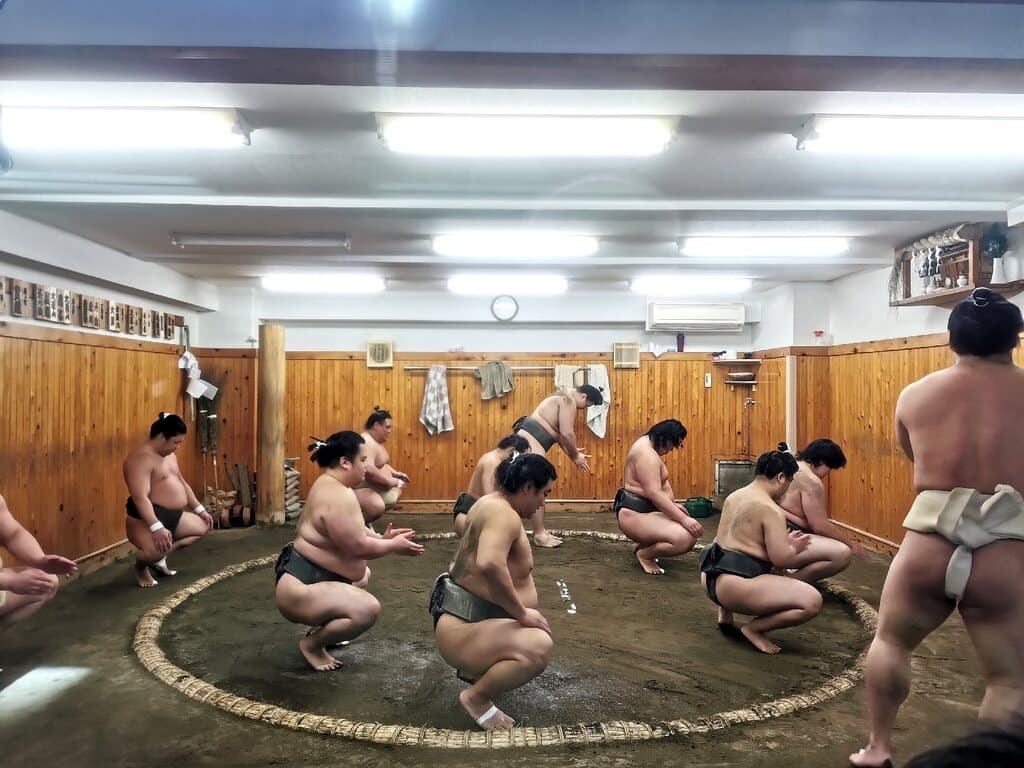 Visit a Sumo Stable