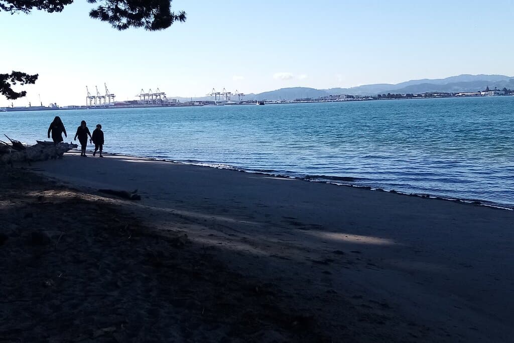 Matakana Island Beaches