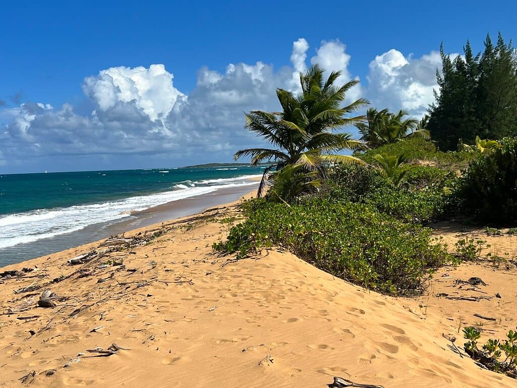 La Posita Beach