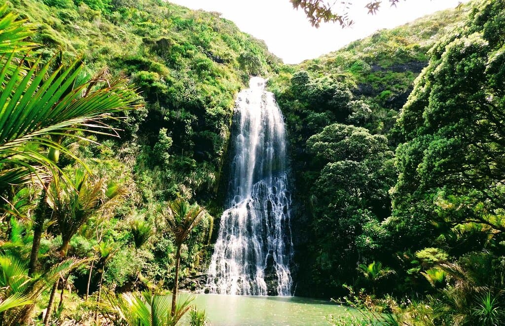 A view of the falls after a short hike! 