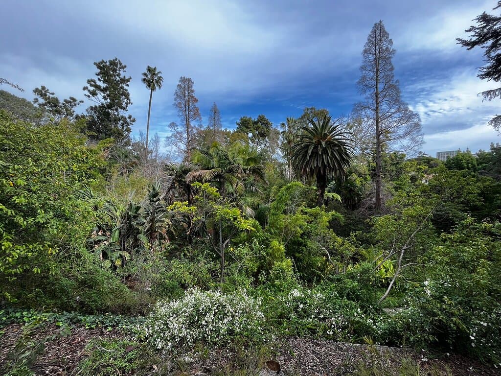 Mildred E. Mathias Botanical Garden