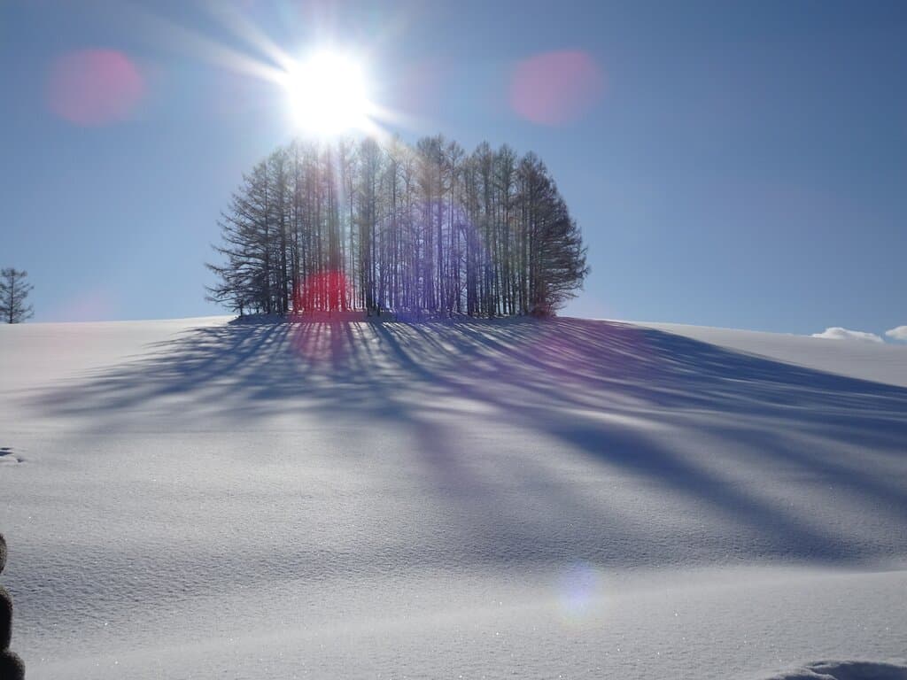 冬場の晴天、正午過ぎが狙い目