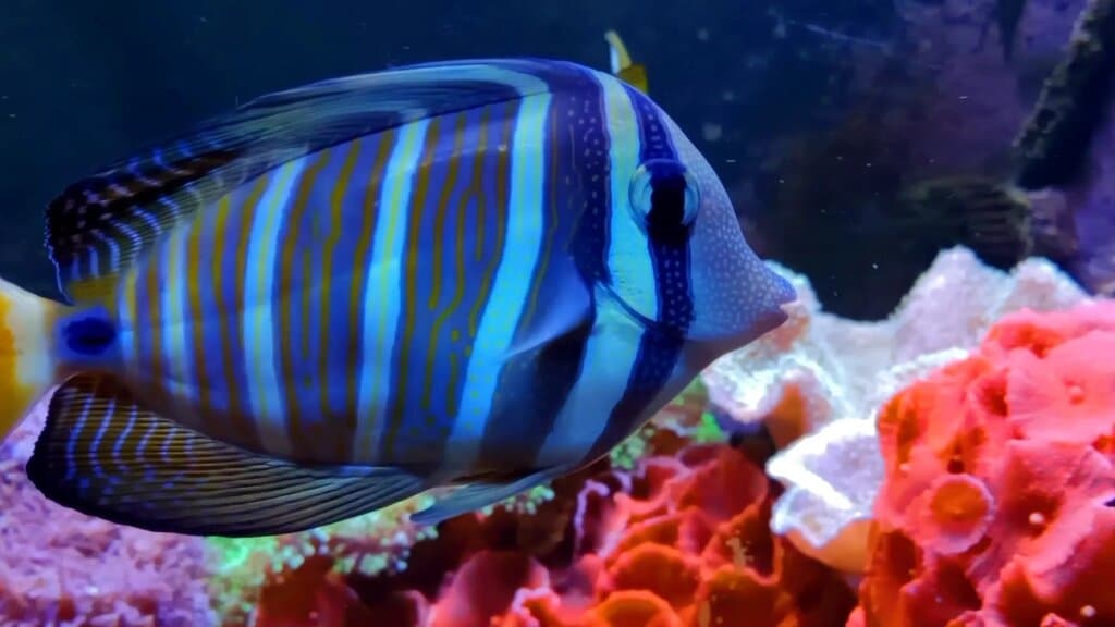 CIMAR Centro de Interpretación del Mar