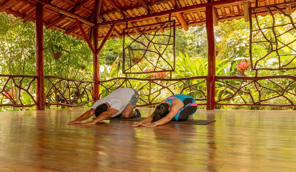 yoga retreats