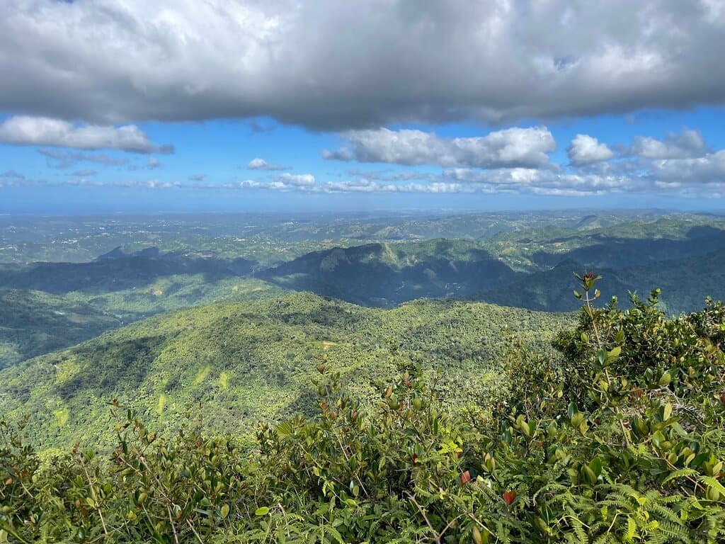 Cerro Tres Picachos