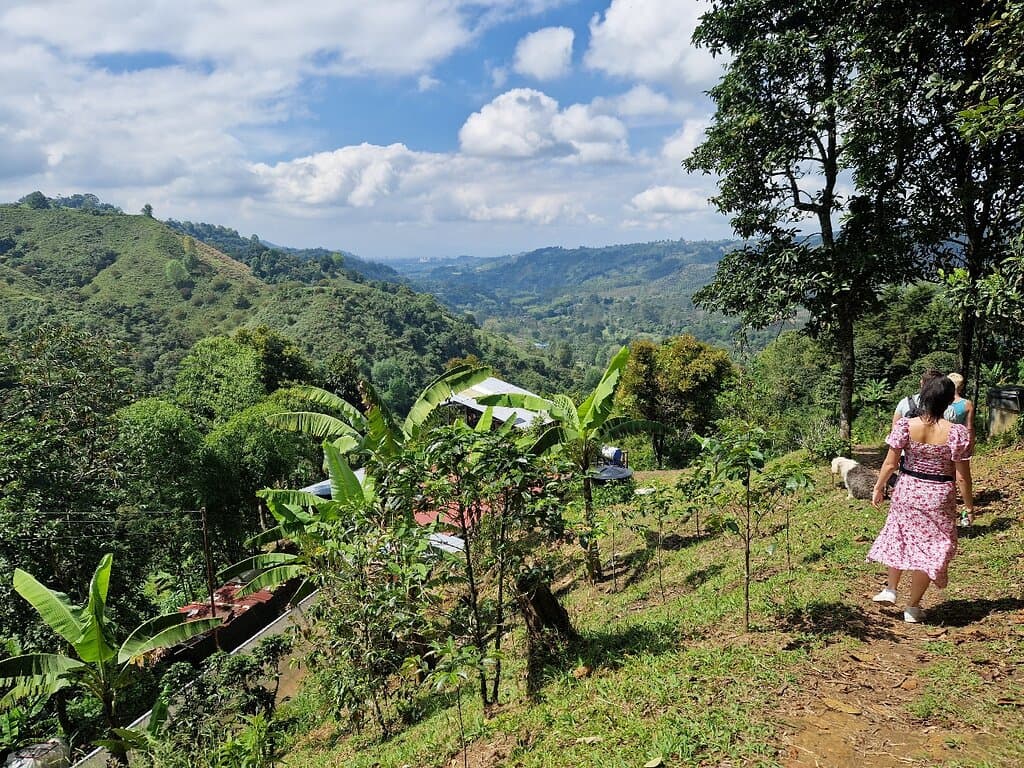 Finca Don Eduardo Salento