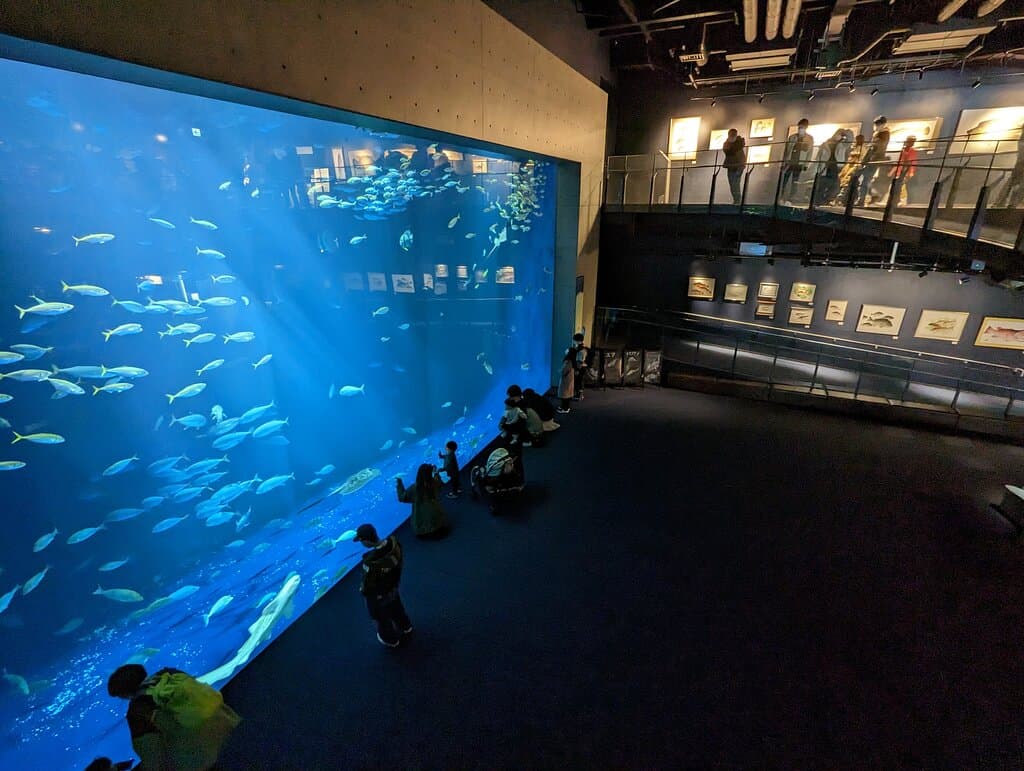 四国水族館 / Shikoku Aquarium