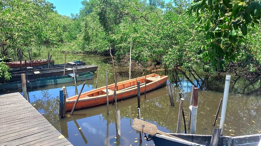 Galpão das Paneleiras de Goiabeiras Vitória