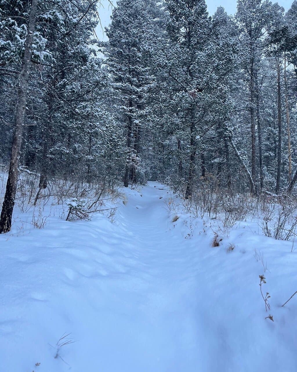 Bluestem Prairie Open Space