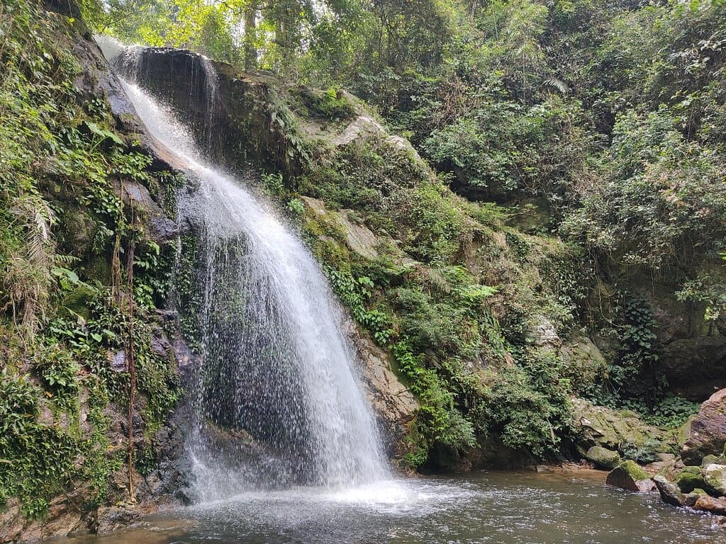 Tai Rom Yen National Park