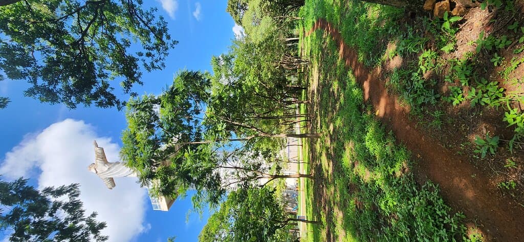 Parque do Cristo Sertãozinho