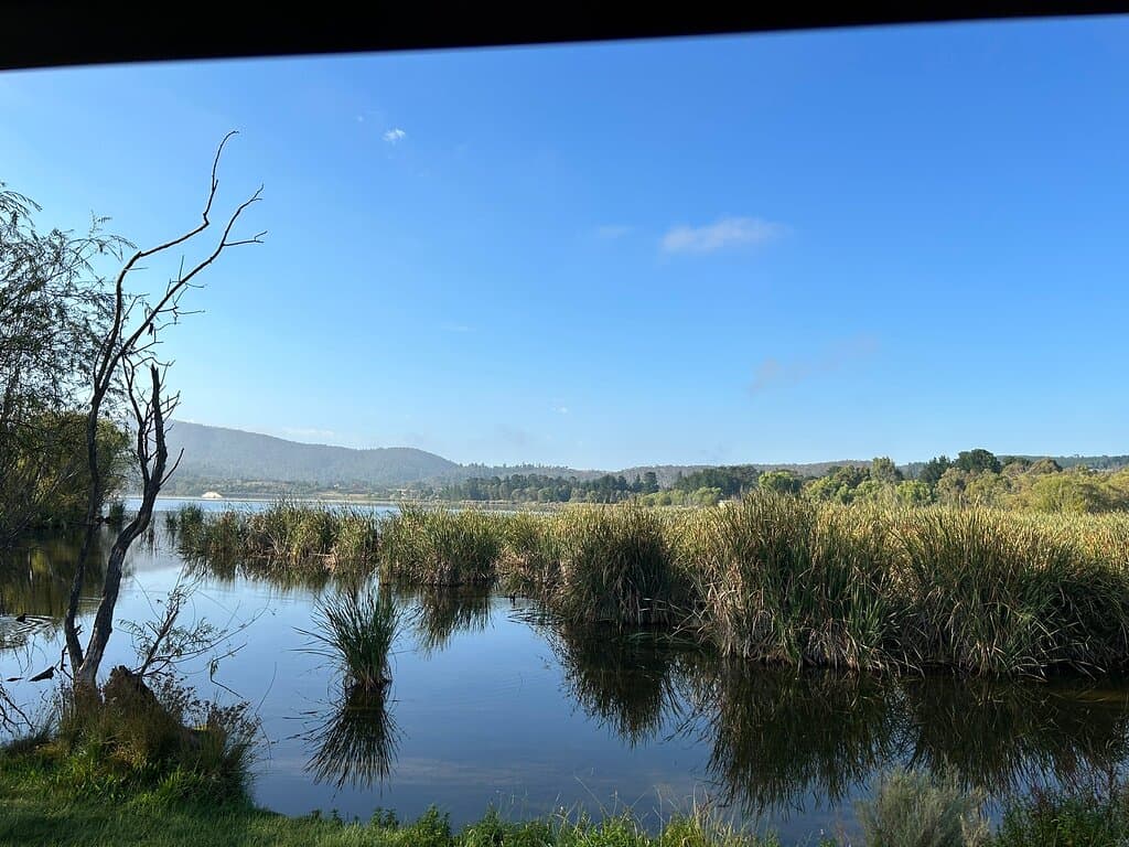 Lake Wallace Wallerawang