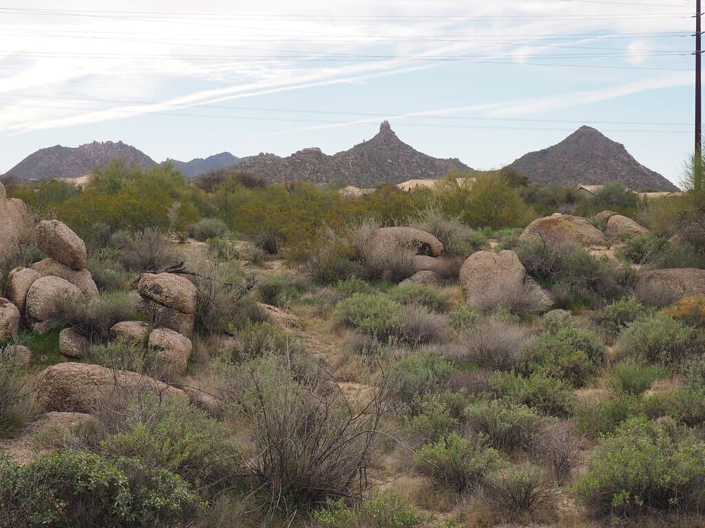 Pima Dynamite