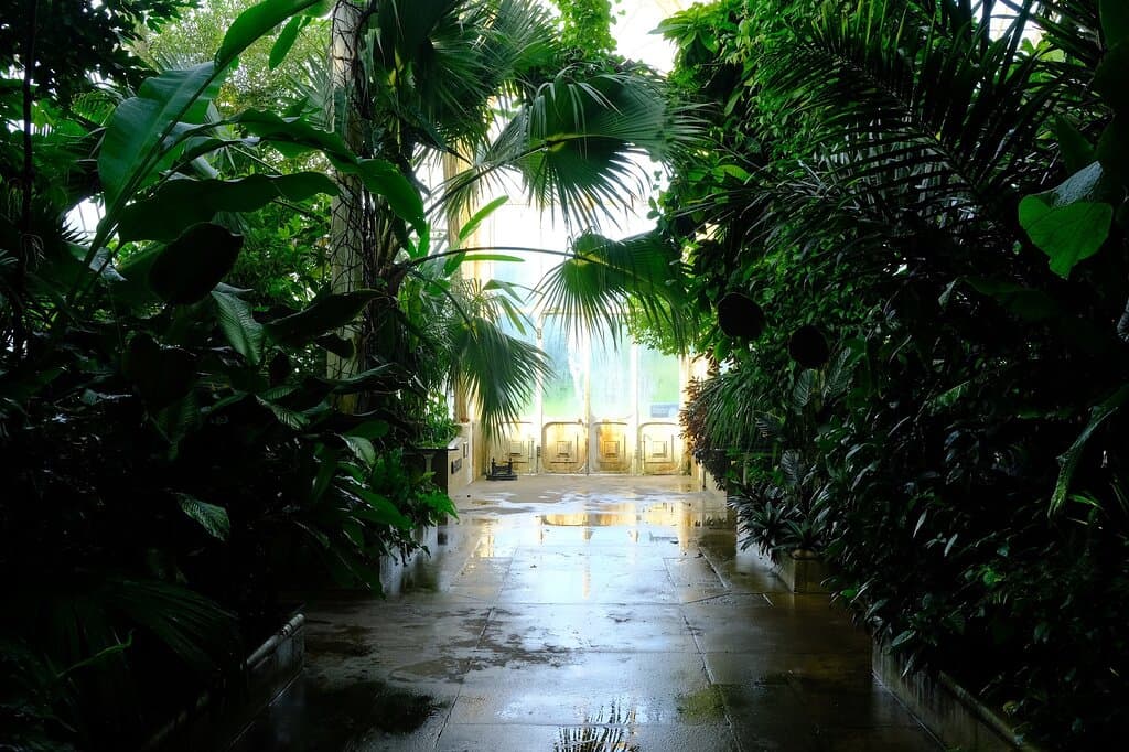 Palm House