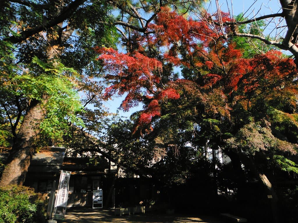 練馬区立牧野記念庭園(正門方面)