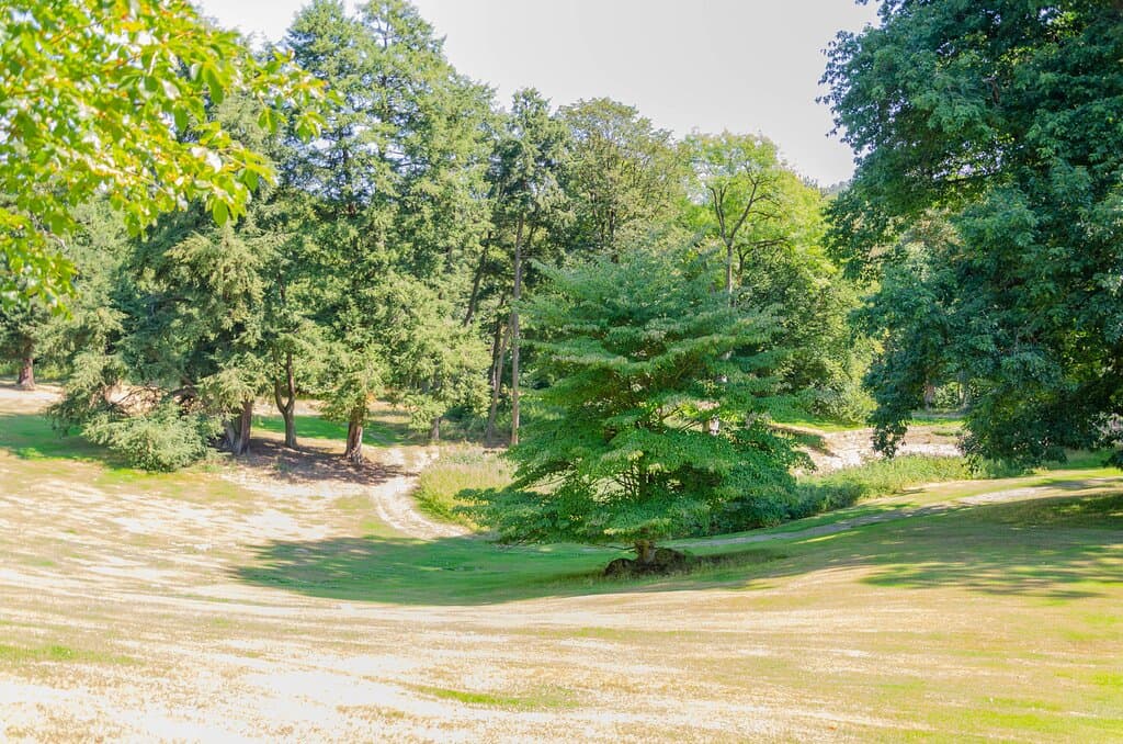 Widok na Park Hügel 
