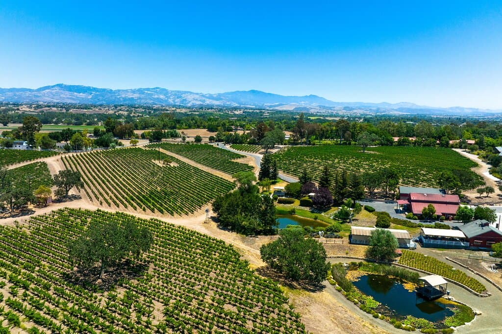 Our winery, tasting room and observation decks, and duck ponds, all nestled amongst 25 acres of grapevines.