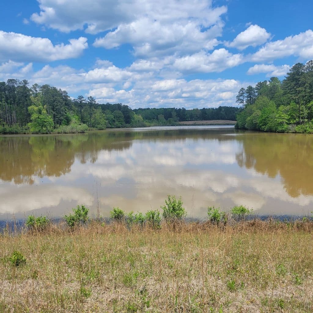 Piedmont National Wildlife Refuge Arkansas